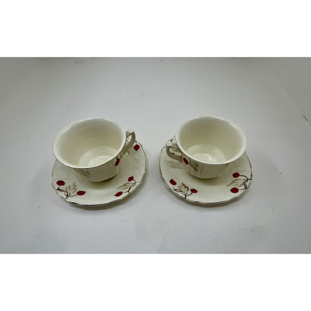 Myott Cherry Ripe Bone China Teacup & Saucer Set of 2 England Rose Floral